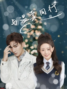 短剧与温柔同行海报