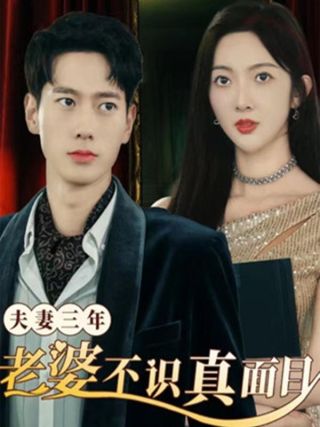 短剧夫妻三年老婆不识真面目海报