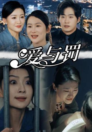 短剧爱与罚海报