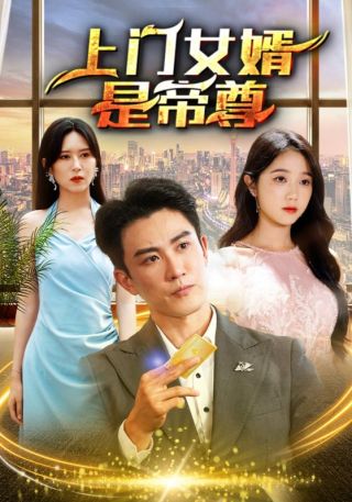 短剧上门女婿是帝尊海报