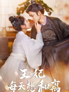 短剧王妃每天想和离海报