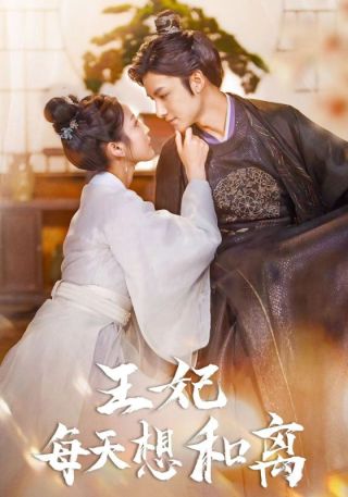 短剧王妃每天想和离海报