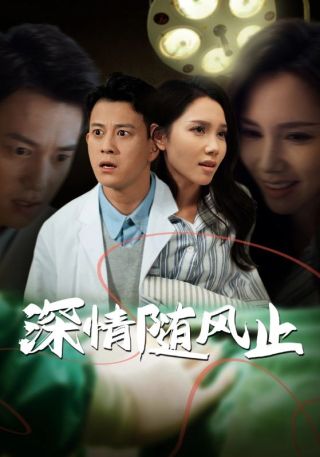 短剧深情随风止海报