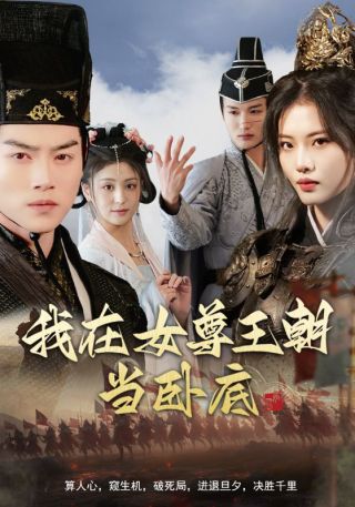 短剧我在女尊王朝当卧底海报