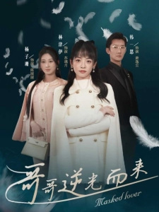 短剧哥哥逆光而来海报