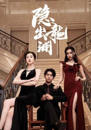 短剧隐龙出渊海报