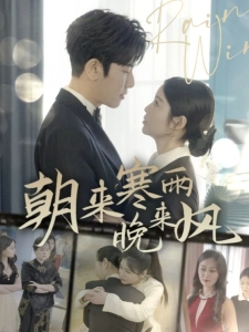 短剧朝来寒雨晚来风海报