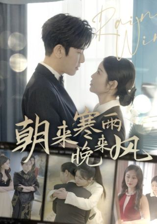 短剧朝来寒雨晚来风海报