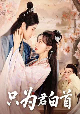 短剧只为君白首海报