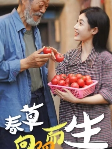 短剧春草向阳而生海报