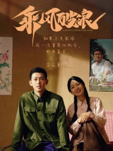 短剧乘风破浪海报