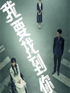 短剧我要找到你海报