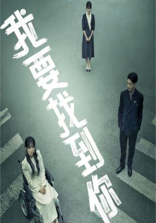 短剧我要找到你海报