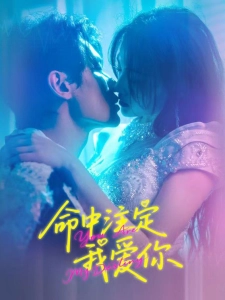 短剧命中注定我爱你海报