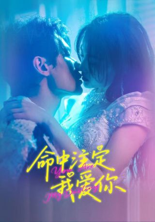 短剧命中注定我爱你海报