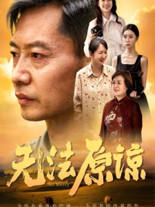 短剧无法原谅海报