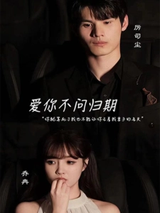 短剧爱你不问归期海报