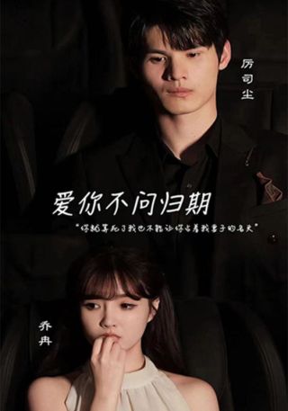 短剧爱你不问归期海报