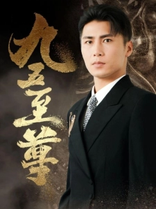 短剧九五至尊海报