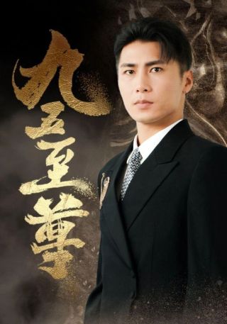 短剧九五至尊海报