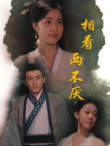 短剧相看两不厌海报