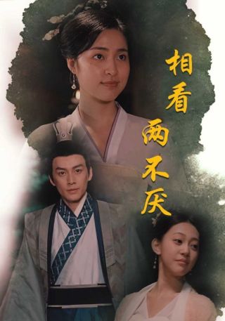 短剧相看两不厌海报