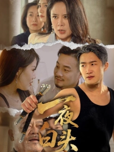 短剧一夜白头海报