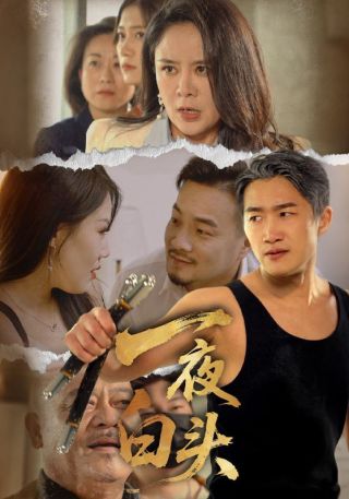 短剧一夜白头海报