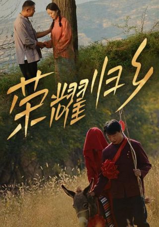 短剧荣耀归乡海报