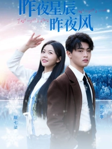 短剧昨夜星辰昨夜风海报