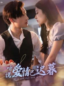 短剧听说爱情已迟暮海报