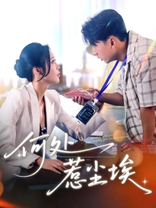 短剧何处惹尘埃海报