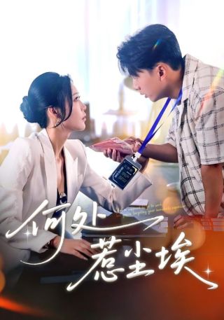 短剧何处惹尘埃海报