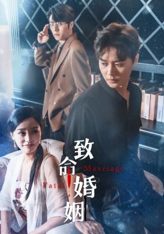 短剧致命婚姻海报