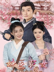 短剧神医农女：买个相公来种田海报