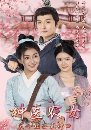 短剧神医农女：买个相公来种田海报