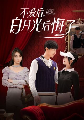 短剧不爱后，白月光后悔了海报
