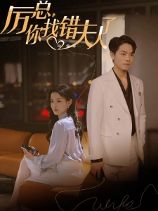 短剧厉总，你找错夫人了海报