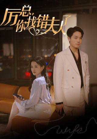 短剧厉总，你找错夫人了海报