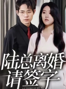 短剧陆总离婚请签字海报