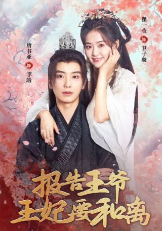 短剧报告王爷，王妃要和离海报