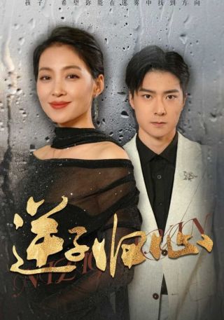 短剧逆子归心海报