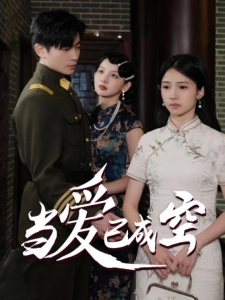 短剧当爱已成空海报