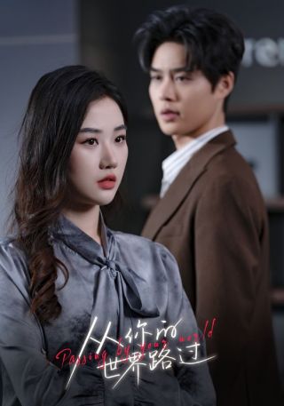 短剧从你的世界路过海报