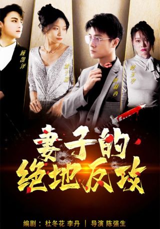 短剧妻子的绝地反攻海报