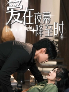短剧爱在夜幕降至时海报