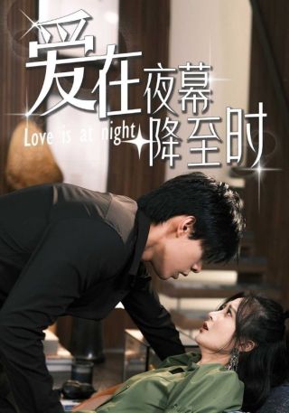 短剧爱在夜幕降至时海报