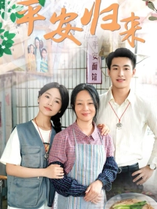 短剧平安归来海报