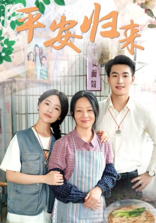 短剧平安归来海报