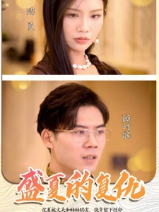 短剧盛夏的复仇海报